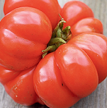 Grow award-winning heirloom tomatoes using this amazing organic liquid fertilizer.