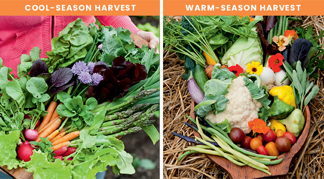 The Year-Round Vegetable Gardener