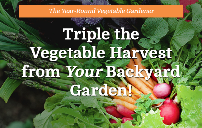 The Year-Round Vegetable Gardener