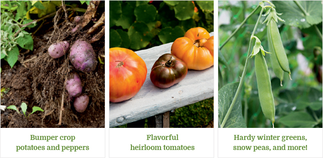 The Year-Round Vegetable Gardener