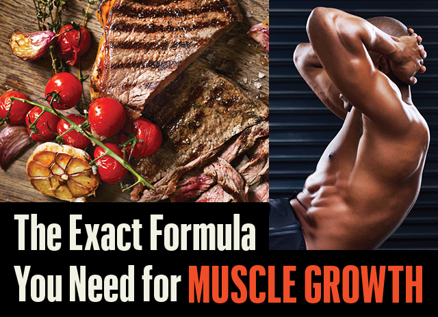 MUSCLE GROWTH