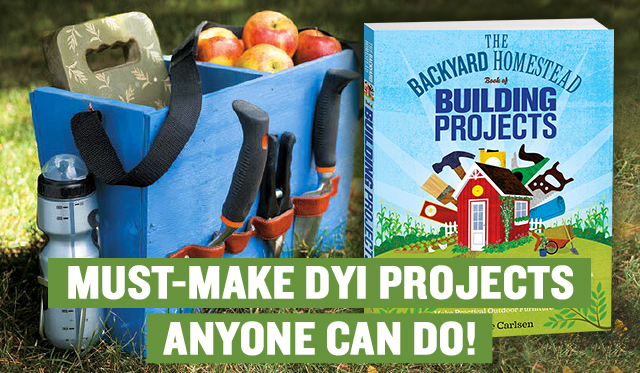 MUST-MAKE DYI PROJECTS ANYONE CAN DO!