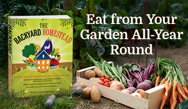 Eat from Your Garden All-Year Round